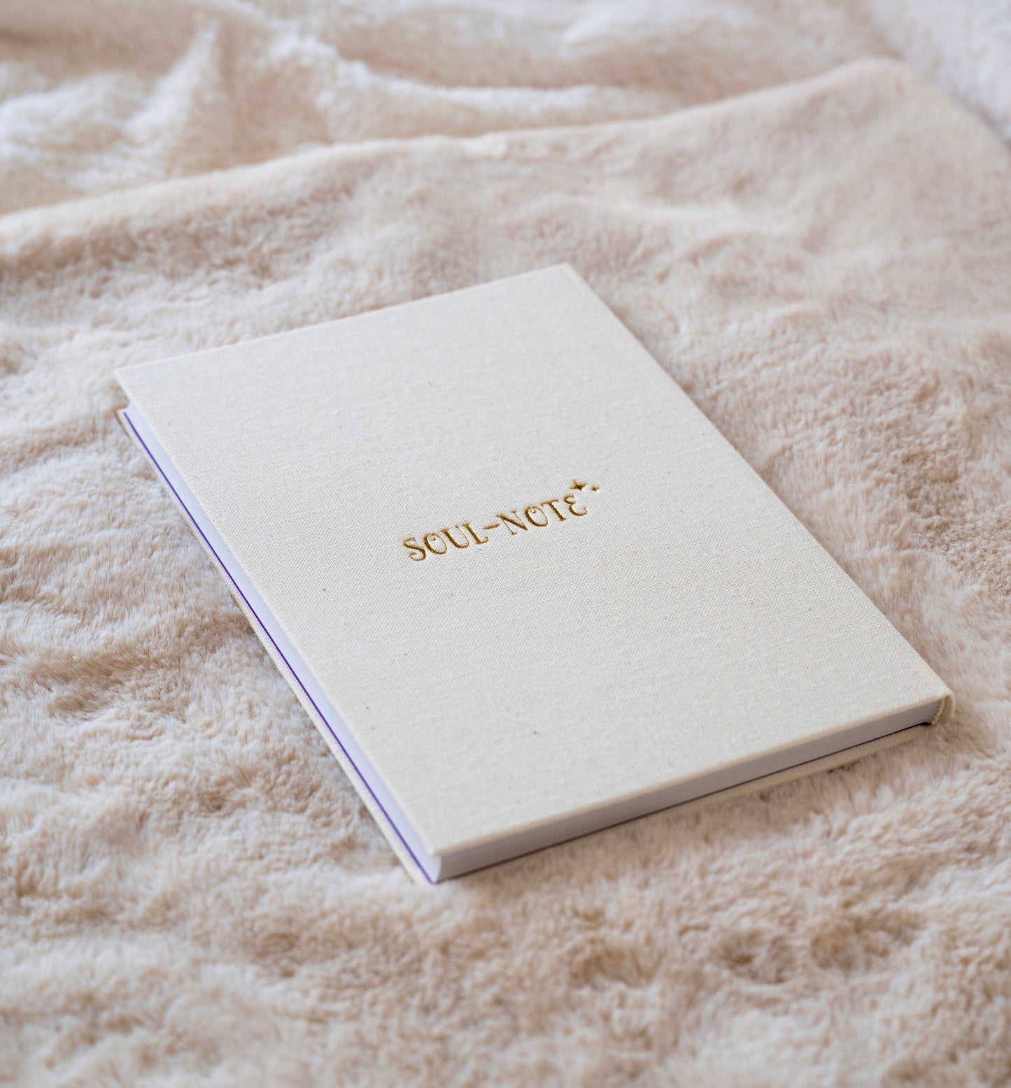 MAGIC IN PROGRESS ✧ ソウルノート01 (限定品)